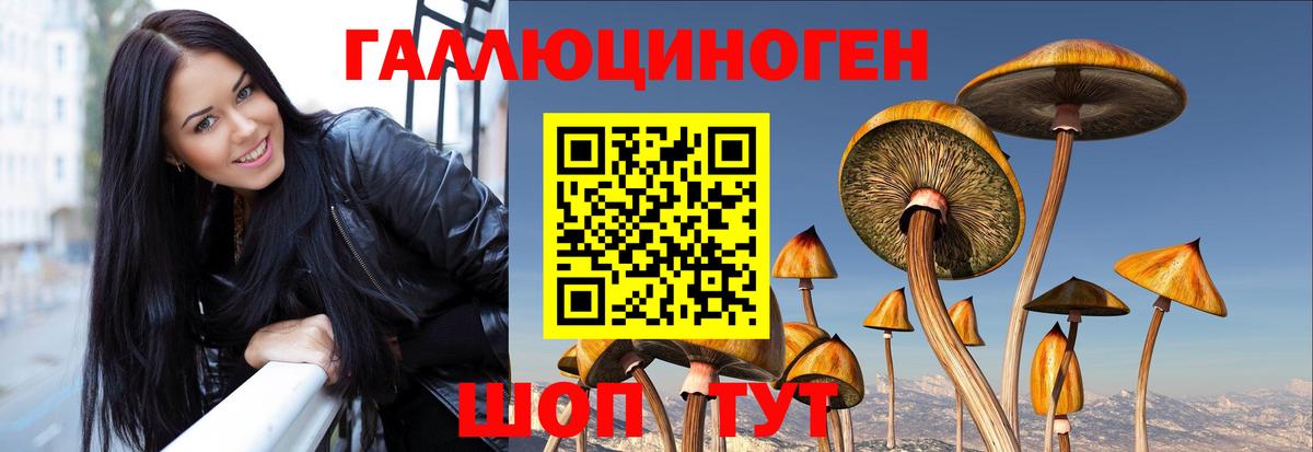 Мценск  Псилоцибиновые грибы Magic Shrooms  Псилоцибиновые грибы ЛСД  Вход с VPN 